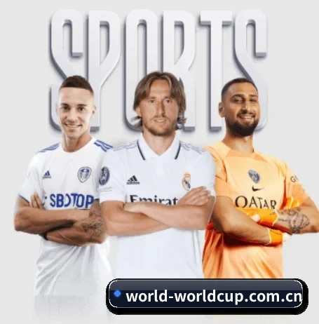 世界杯 APP 界面